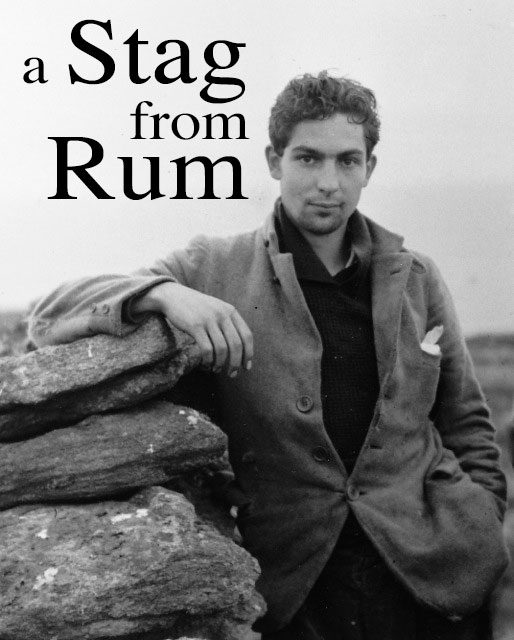 A Stag from Rum